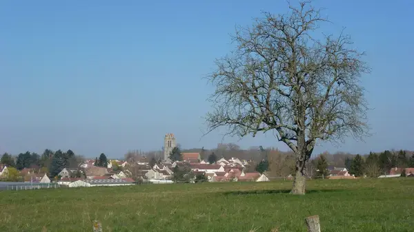 Borne de Recharge 77 Installateur borne de recharge Presles-en-Brie